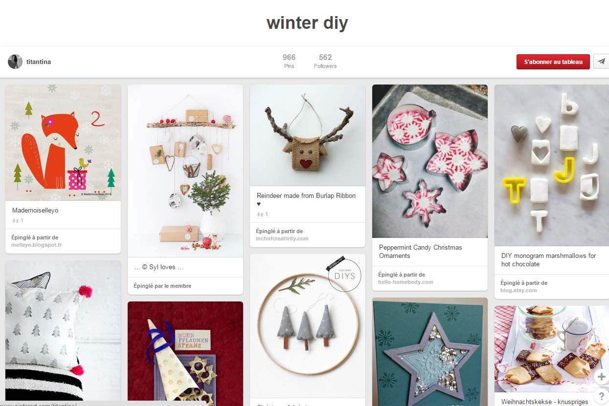 Pinterest Winter DIY