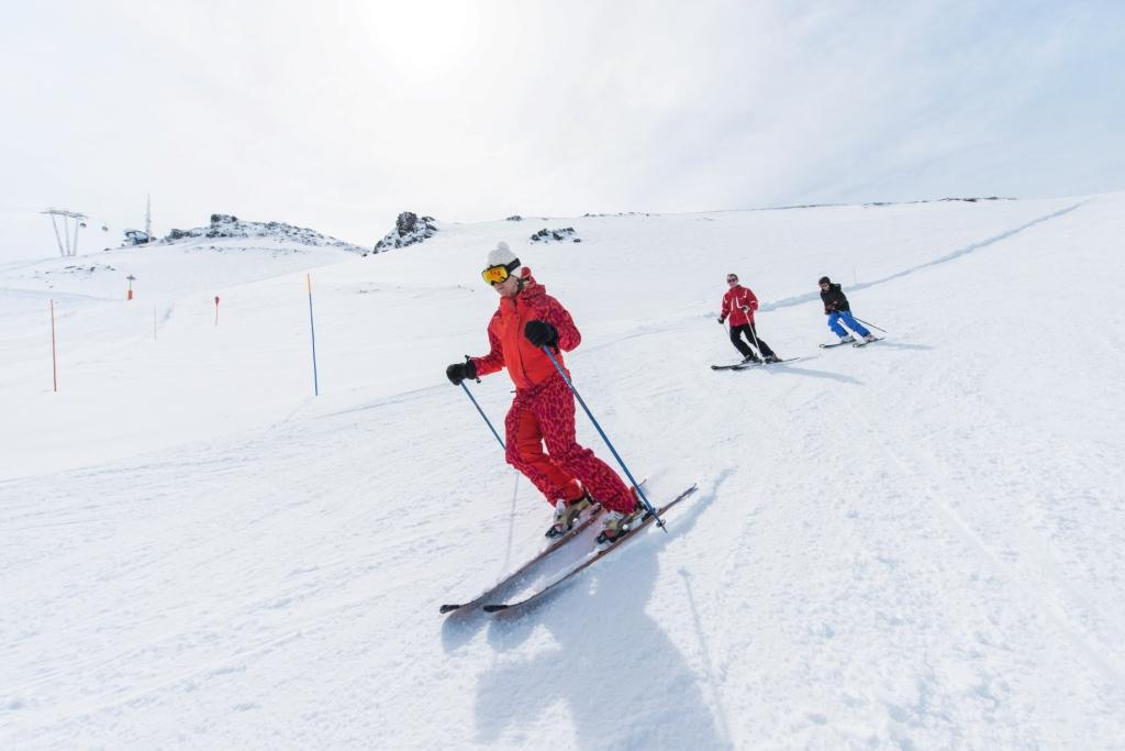 cours de ski : adultes