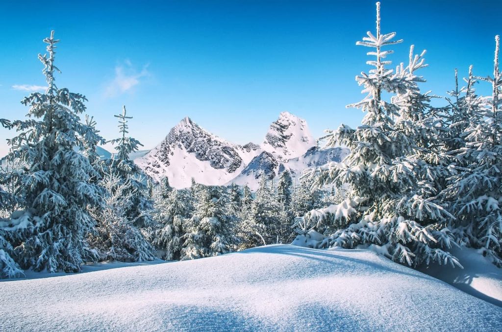 Photographie d'un paysage de montagne, avec deux sommets et rempli d e sapin complétement enneigés